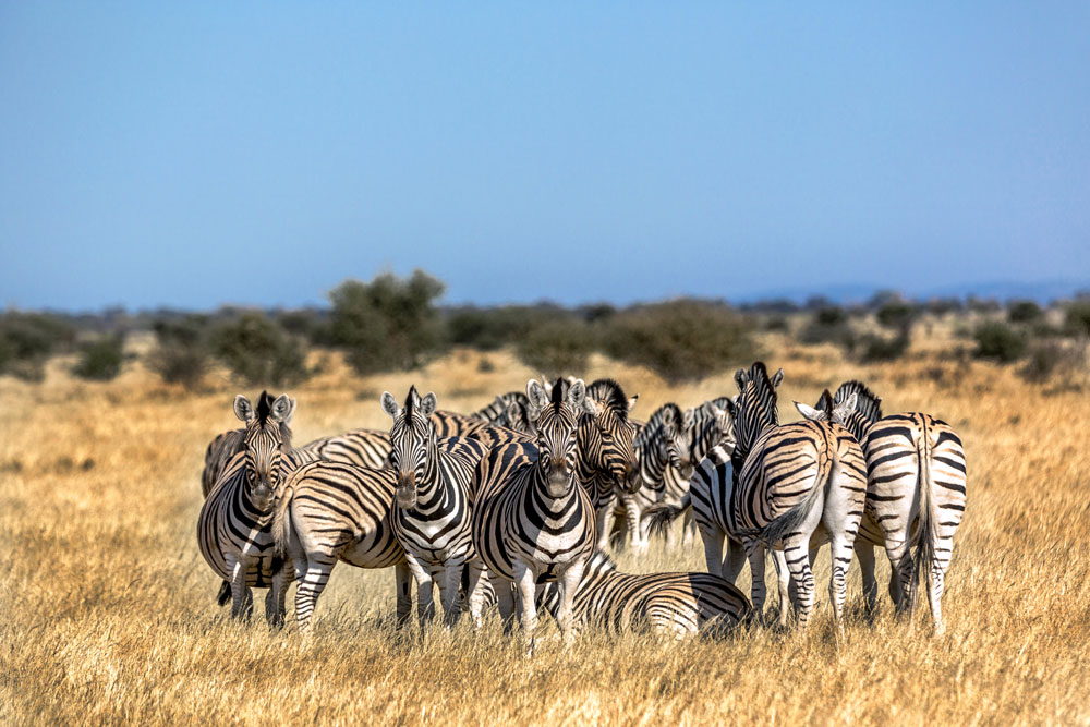 cause of water scarcity sub-Saharan climate